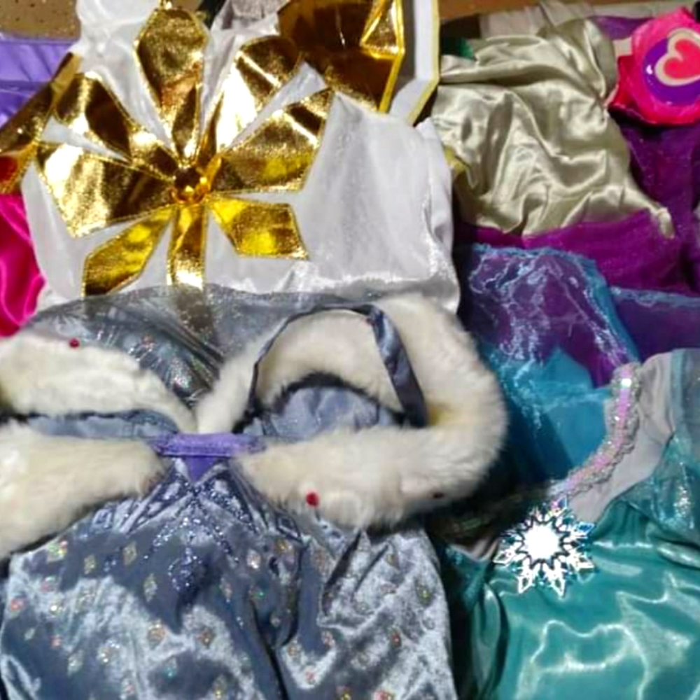Disney Princess costumes